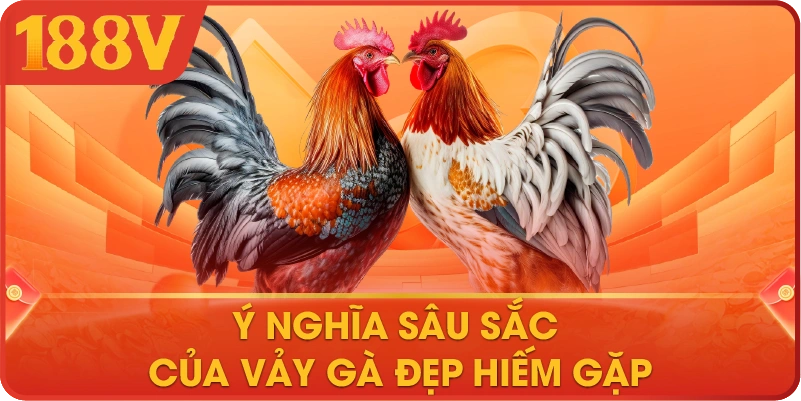 Ý nghĩa sâu sắc của vảy gà đẹp hiếm gặp